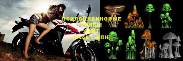 гашик Арсеньев