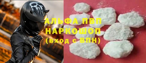 гашик Арсеньев