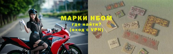 гашик Арсеньев