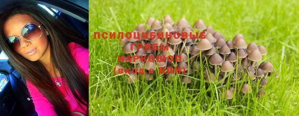 гашик Арсеньев