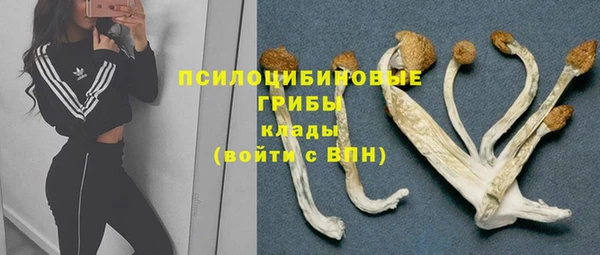 ECSTASY Армянск